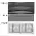 Fig. 02 - Apparatuses and methods for pathogen detection using microfluidic biochips