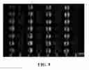 Fig. 06 - Apparatuses and methods for pathogen detection using microfluidic biochips