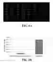 Fig. 07 - Apparatuses and methods for pathogen detection using microfluidic biochips
