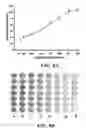 Fig. 09 - Apparatuses and methods for pathogen detection using microfluidic biochips