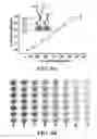 Fig. 10 - Apparatuses and methods for pathogen detection using microfluidic biochips