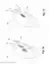 Fig. 08 - Method for identifying a cast part