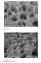 Fig. 07 - Tapering method for poromeric polishing pad