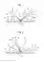Fig. 02 - BOOKLET