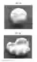 Fig. 02 - Synthetic clay composition containing hollow sphere and method for preparing the same