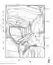 Fig. 02 - Self-locking hinge assembly for vehicle swinging desk top