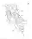 Fig. 02 - Bicycle seat for accommodating bicycle accessories