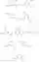 Fig. 280 - Urea derivatives and uses thereof
