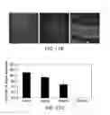Fig. 16 - COMPOSITIONS AND METHODS FOR TREATING OCULAR EDEMA, NEOVASCULARIZATION AND RELATED DISEASES