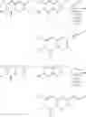 Fig. 149 - Metabotrophic glutamate receptor 5 modulators and methods use thereof