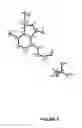 Fig. 06 - BENZOXABOROLE COMPOUNDS AND USES THEREOF
