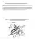 Fig. 09 - Proteins specific for pyoverdine and pyochelin