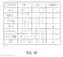 Fig. 03 - Genetically modified pig cells with an inactivated Etv2 gene