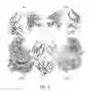 Fig. 02 - Engineered polypeptides and uses thereof