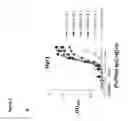 Fig. 07 - Antibody molecules and uses thereof