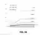 Fig. 06 - ANTIBODIES TO TAU