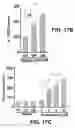 Fig. 35 - ANTIBODIES TO TAU