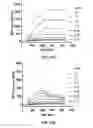 Fig. 63 - ANTIBODIES TO TAU