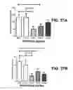 Fig. 71 - ANTIBODIES TO TAU