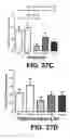 Fig. 72 - ANTIBODIES TO TAU
