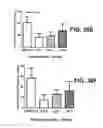 Fig. 75 - ANTIBODIES TO TAU