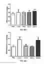 Fig. 82 - ANTIBODIES TO TAU