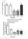 Fig. 83 - ANTIBODIES TO TAU