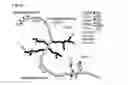 Fig. 02 - Method for isolation of polysaccharides