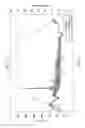 Fig. 14 - Downhole fluids and methods of use thereof