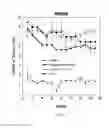 Fig. 07 - METHODS AND COMPOSITIONS RELATING TO TREATMENT OF NERVOUS SYSTEM INJURIES