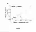 Fig. 15 - EpCAM aptamers and conjugates thereof
