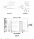 Fig. 02 - Low molecular weight cyclic amine containing cationic lipids for oligonucleotide delivery