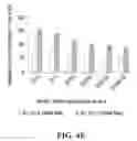 Fig. 07 - COMPOSITIONS AND METHODS FOR EFFICACIOUS AND SAFE DELIVERY OF SIRNA USING SPECIFIC CHITOSAN-BASED NANOCOMPLEXES