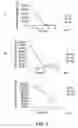 Fig. 08 - COMPOSITIONS AND METHODS FOR EFFICACIOUS AND SAFE DELIVERY OF SIRNA USING SPECIFIC CHITOSAN-BASED NANOCOMPLEXES