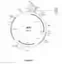Fig. 07 - Thermostable Rubisco activase complexes