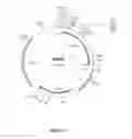 Fig. 09 - Thermostable Rubisco activase complexes