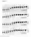 Fig. 07 - Cysteine proteases