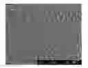 Fig. 01 - Composite plating film