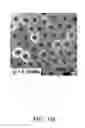 Fig. 09 - Flow-regulated growth of nanotubes