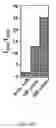 Fig. 14 - Flow-regulated growth of nanotubes