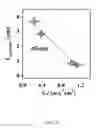 Fig. 17 - Flow-regulated growth of nanotubes