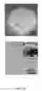Fig. 31 - Flow-regulated growth of nanotubes