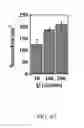Fig. 35 - Flow-regulated growth of nanotubes