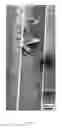 Fig. 37 - Flow-regulated growth of nanotubes