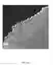 Fig. 38 - Flow-regulated growth of nanotubes