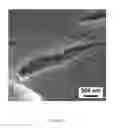 Fig. 40 - Flow-regulated growth of nanotubes