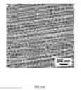 Fig. 41 - Flow-regulated growth of nanotubes