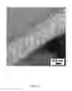 Fig. 49 - Flow-regulated growth of nanotubes