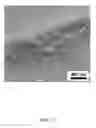 Fig. 52 - Flow-regulated growth of nanotubes
