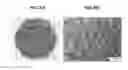 Fig. 09 - Method for manufacturing group-III nitride semiconductor crystal substrate